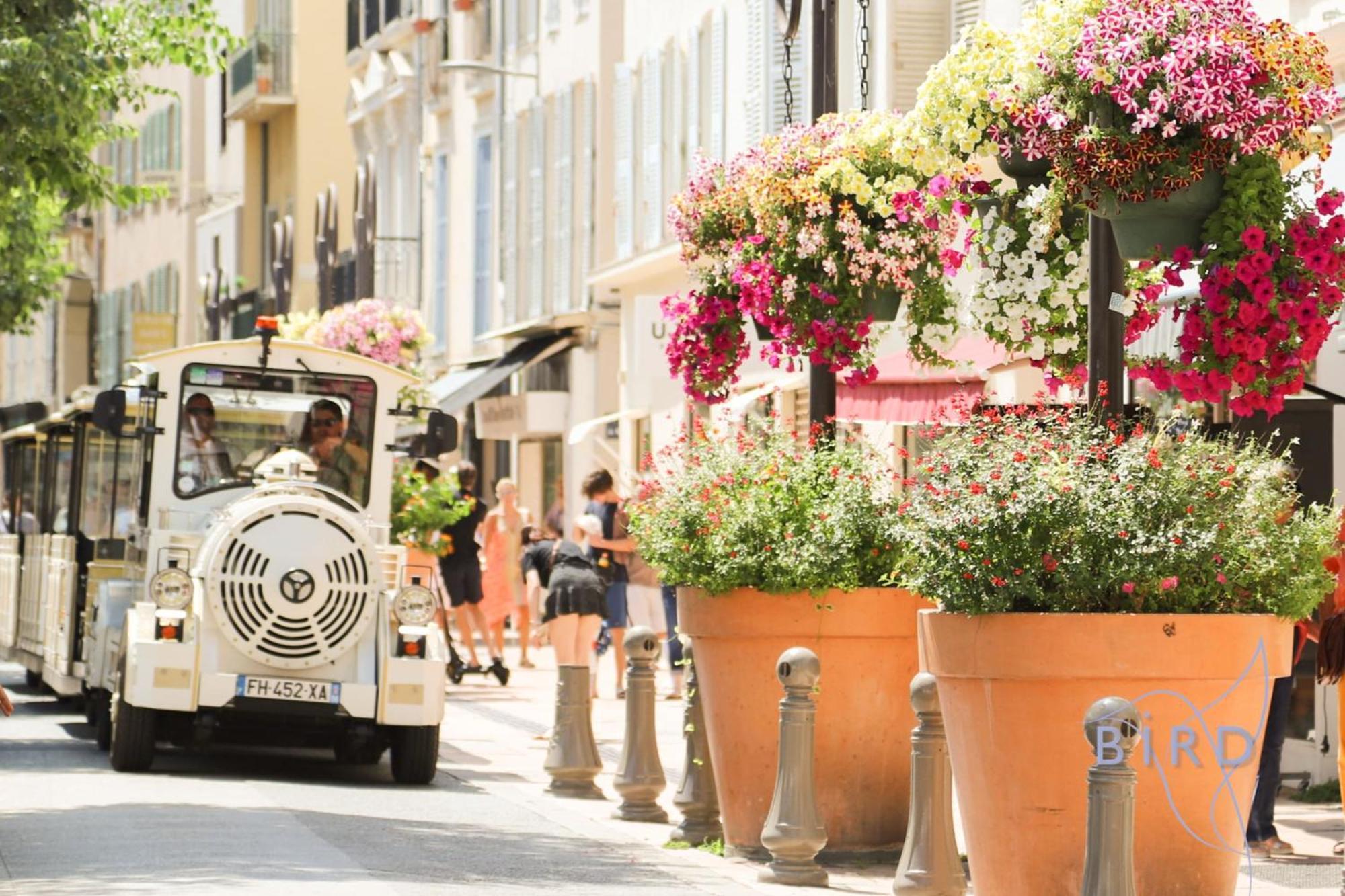Beautiful Authentic In The Heart Of Old *